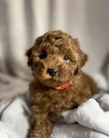 processed/c5db4f5c-037a-481b-b0f3-2dffa5cc770b/facility/99a4d6ba-a81d-4dac-a46d-2fbe187d6b44