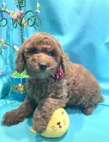 processed/c5db4f5c-037a-481b-b0f3-2dffa5cc770b/facility/aadad89a-dc52-4bc6-98c1-95b23b2aaa70