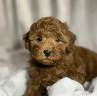 processed/c5db4f5c-037a-481b-b0f3-2dffa5cc770b/facility/f28c71dd-8f73-4877-8e05-b63228c86719