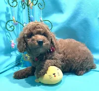 processed/c5db4f5c-037a-481b-b0f3-2dffa5cc770b/facility/f99819d8-362b-49d8-aeab-8637f78bf119