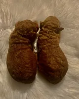 New Puppy, a  Poodle - Toy  for sale in Sacramento, CA – 4 of 5