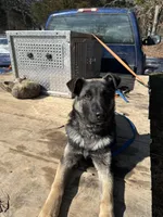 processed/c5dd2203-590f-4885-95c8-c7762f694b97/listing/df17601c-5cff-40fc-8588-22d39d994b9d/4f1225c4-bf40-4cb7-9ded-496cf78ed80c