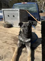 processed/c5dd2203-590f-4885-95c8-c7762f694b97/listing/e75cb8db-67a1-484a-a5cf-ea81baf7470b/ff27a755-ca48-48d3-a819-ff5542e82815