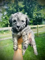 processed/c5e0c722-4f86-42c5-aa45-a685744d31e6/listing/5b7fc710-3dbe-4347-83b6-4ba4d561b6d9/eb2febdd-e9f5-4398-8f6c-bd05590699d3