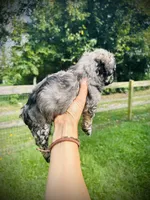 processed/c5e0c722-4f86-42c5-aa45-a685744d31e6/listing/5b7fc710-3dbe-4347-83b6-4ba4d561b6d9/ef83e8ea-28af-4786-9a22-eafd33a0c088