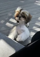 processed/c5e7f2ea-be23-4b2e-942f-d55b66a50b98/listing/5827f56d-58a8-4fb0-857f-b2b1c91d6aea/12481f8e-029e-4992-b946-539db14491c7