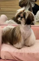 processed/c5e7f2ea-be23-4b2e-942f-d55b66a50b98/listing/5827f56d-58a8-4fb0-857f-b2b1c91d6aea/3eee4a1f-db88-4bda-986c-74bcdaef0a28