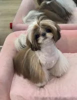 processed/c5e7f2ea-be23-4b2e-942f-d55b66a50b98/listing/5827f56d-58a8-4fb0-857f-b2b1c91d6aea/5ae5a05c-3070-4357-b2c1-ba8738819761