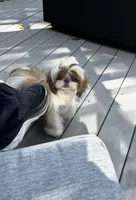 processed/c5e7f2ea-be23-4b2e-942f-d55b66a50b98/listing/5827f56d-58a8-4fb0-857f-b2b1c91d6aea/99c46405-09c8-4e48-9391-c98f2ff3852c