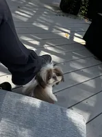 processed/c5e7f2ea-be23-4b2e-942f-d55b66a50b98/listing/5827f56d-58a8-4fb0-857f-b2b1c91d6aea/c1f03b3f-2781-44b8-ae2d-a67524d39132