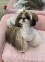 processed/c5e7f2ea-be23-4b2e-942f-d55b66a50b98/listing/5827f56d-58a8-4fb0-857f-b2b1c91d6aea/d767cce3-4f18-4091-877d-2ae8417ffbb8