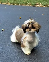 processed/c5e7f2ea-be23-4b2e-942f-d55b66a50b98/listing/5827f56d-58a8-4fb0-857f-b2b1c91d6aea/f573956c-a2c3-41c7-b715-ab3a47dd0a3e