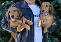 processed/c5f6e0c9-13c5-40e1-b1cb-c421fa4c4e1c/facility/05202e19-33f4-4c6e-b238-a2f3e7ac0725