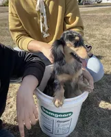 processed/c5f6e0c9-13c5-40e1-b1cb-c421fa4c4e1c/facility/4b752e4b-a582-4ac6-9e30-241b4e8bd41f