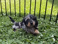 processed/c5f6e0c9-13c5-40e1-b1cb-c421fa4c4e1c/facility/5d5dc42e-5428-47bf-b261-cdfbaadbb397