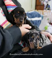 processed/c5f6e0c9-13c5-40e1-b1cb-c421fa4c4e1c/facility/81f8e076-f8fc-442e-aa69-3e436abc4e98