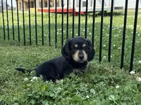 processed/c5f6e0c9-13c5-40e1-b1cb-c421fa4c4e1c/facility/aac61f47-4b13-4107-94f6-8e403b0ff103