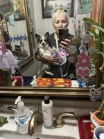 Marli, a female Chihuahua for sale in Navasota, TX – 7 of 7