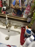 Ben  , a male Poodle - Toy  for sale in Navasota, TX – 4 of 6