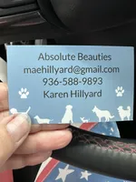 Raven , a male Poodle - Toy  for sale in Navasota, TX – 2 of 4