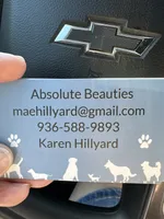 Zane , a male Dachshund and Miniature Dachshund for sale in Navasota, TX – 2 of 8