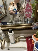 Poppy, a female Chihuahua for sale in Navasota, TX – 2 of 3