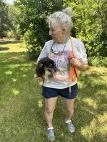 Spicey hot , a male Toy Australian Shepherd for sale in Navasota, TX – 3 of 3