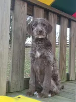 processed/c5ff66fc-80c7-4682-86e8-3592d80170ea/listing/0c94563b-12f8-476f-ae39-7e633150fda6/961b29ef-c792-430f-b40a-e16e2810396d