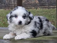 processed/c5ff66fc-80c7-4682-86e8-3592d80170ea/listing/12531949-c932-47bc-bfae-8f891410956e/f4255ff3-4b41-4a4b-a64c-11b179ebada3