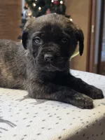 processed/c5ff66fc-80c7-4682-86e8-3592d80170ea/listing/acd9ecd3-7c1e-4dff-9051-6f41e4543ad3/42216c84-5e02-4072-8bc6-3a40a93cfd3f