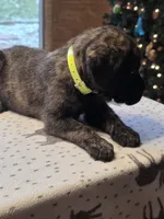 processed/c5ff66fc-80c7-4682-86e8-3592d80170ea/listing/acd9ecd3-7c1e-4dff-9051-6f41e4543ad3/9180d96c-085e-4aa1-852e-1d146fb4868b