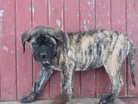 processed/c5ff66fc-80c7-4682-86e8-3592d80170ea/listing/ff93be56-5bdb-4e02-a1bc-5c5b8803eee4/92e704d8-5b3f-47c1-a790-7b4aacbd7023