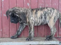 processed/c5ff66fc-80c7-4682-86e8-3592d80170ea/listing/ff93be56-5bdb-4e02-a1bc-5c5b8803eee4/ca98782f-d7cb-477a-9bc7-550b45d71d1c