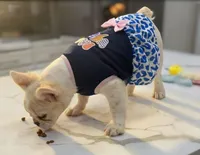 Opal, a female French Bulldog for sale in Las Vegas, NV – 3 of 7
