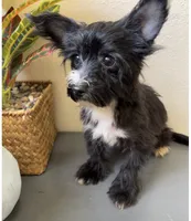 processed/c606e718-f0ad-4895-8247-b4176c4fd0b0/listing/1fac2779-ef1b-466e-8324-2cdcd0aef259/1ccb6f37-e8f8-49df-82d1-24280a9176da