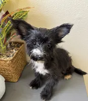 processed/c606e718-f0ad-4895-8247-b4176c4fd0b0/listing/1fac2779-ef1b-466e-8324-2cdcd0aef259/59e34479-dde0-450d-bb69-dd997434e4be