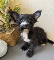 processed/c606e718-f0ad-4895-8247-b4176c4fd0b0/listing/1fac2779-ef1b-466e-8324-2cdcd0aef259/60521adc-37c2-4b06-9c78-99938c9cb449