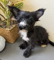 processed/c606e718-f0ad-4895-8247-b4176c4fd0b0/listing/1fac2779-ef1b-466e-8324-2cdcd0aef259/9dc9a087-6f8e-42c1-bb17-b701862c212e