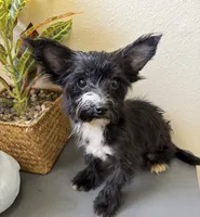 processed/c606e718-f0ad-4895-8247-b4176c4fd0b0/listing/1fac2779-ef1b-466e-8324-2cdcd0aef259/bf296bfb-3785-48c0-8f99-289cf322d71c