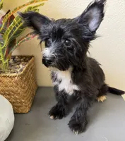 processed/c606e718-f0ad-4895-8247-b4176c4fd0b0/listing/1fac2779-ef1b-466e-8324-2cdcd0aef259/edb1ce9c-b553-44e2-a7f2-7f93be9c79ae