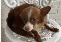 processed/c606e718-f0ad-4895-8247-b4176c4fd0b0/listing/a8c36d75-7c9a-4505-976e-0f13faad711a/4207db11-d179-4439-9717-e129dfc4ebed