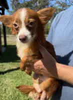 processed/c606e718-f0ad-4895-8247-b4176c4fd0b0/listing/a8c36d75-7c9a-4505-976e-0f13faad711a/62663eee-f816-4bd1-98df-f3139b6a1f8e