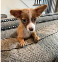 processed/c606e718-f0ad-4895-8247-b4176c4fd0b0/listing/a8c36d75-7c9a-4505-976e-0f13faad711a/8308080a-bff3-4177-aafa-b47ca61e9ff4