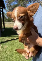 processed/c606e718-f0ad-4895-8247-b4176c4fd0b0/listing/a8c36d75-7c9a-4505-976e-0f13faad711a/92a9a7a5-bbfb-46c8-8fea-bb073a0154b1