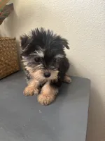 processed/c606e718-f0ad-4895-8247-b4176c4fd0b0/listing/eca4b9dd-1432-4b05-9cf2-c6e62022edf4/01cbf6c2-9e30-460a-827d-fcd2468eb438