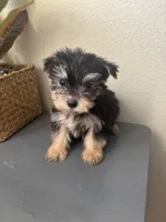 processed/c606e718-f0ad-4895-8247-b4176c4fd0b0/listing/eca4b9dd-1432-4b05-9cf2-c6e62022edf4/0418c1f6-2e9d-4398-b7d6-48ad997a33f1