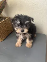 processed/c606e718-f0ad-4895-8247-b4176c4fd0b0/listing/eca4b9dd-1432-4b05-9cf2-c6e62022edf4/5ddce637-fea5-43ec-84b9-cf4268aa859f