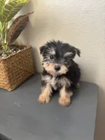 processed/c606e718-f0ad-4895-8247-b4176c4fd0b0/listing/eca4b9dd-1432-4b05-9cf2-c6e62022edf4/c8289fe2-c7e6-42bd-a4a3-899d8178b8b9