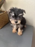 processed/c606e718-f0ad-4895-8247-b4176c4fd0b0/listing/eca4b9dd-1432-4b05-9cf2-c6e62022edf4/e0152982-1f8f-4eeb-a5e0-d2651dfd1495