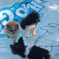 processed/c60725d7-adf8-4b52-ac72-d995e0e00921/facility/46ba9cb3-35ee-4d97-996b-e3f07e7cf3bb